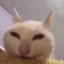 awesomealex08