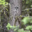 oliverdpg