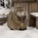 sean's Discord Avatar