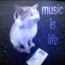 yxngmdt