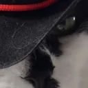 scubaifu