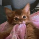 avatar 𝐀𝐧𝐠𝐞𝐥𝐢𝐧𝐚 ૮ ․ ․ ྀིა