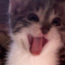 avatar 𝑨𝒏𝒈𝒆𝒍𝒊𝒏𝒂 ૮ ˶ˆ ﻌ ˆ˶ ა