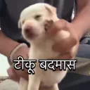 prithvi_10
