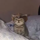 byyorumcu