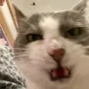 beccauseiwantto