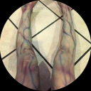 avatar ૮ ◞ ⸝⸝ ◟ ྀིა