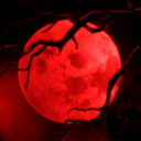 avatar 帝 | SOROUSH