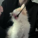 killmeblazze