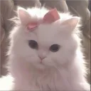 aentauri