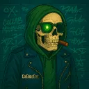 version_ddy