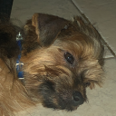 darkdragonhd02's Avatar