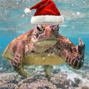 avatar ︻デ︻SF HUTZ┻̿═━一-