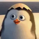 0xwendi