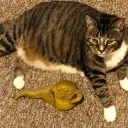 Аватар tsar_pabl