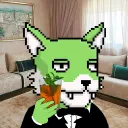 safae0071