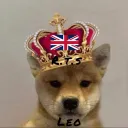 leo22125021 avatar