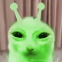 fishstik999999 avatar