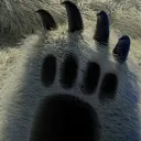 manimani7