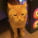 avatar max purrstappen