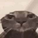 pfp
