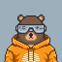hoodiebear3185