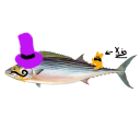 avatar ࿇ঔৣ ♱༺ 𝖃𝖎𝖔 ༻♱ঔৣ ࿇