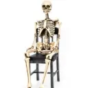 verticallychallengedd avatar