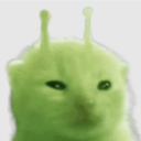 avatar Chef_Chicken