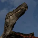 ryojanawkward