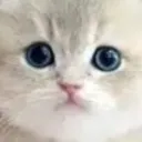 7.7.7.7.7.7.7.7.7.7.7.7.7.q_q avatar