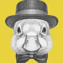 duckduckdev0795