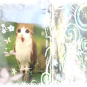 avatar Cherryciz🗣