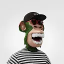 cryptohbobo