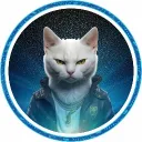 kittymemecoin