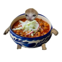 avatar Pozole cat