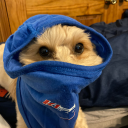 aaron.1667's profile picture