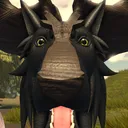 honeysquarry