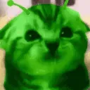 ca11u5