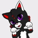tokitokipaws