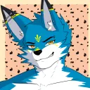 rufus_fox2023