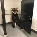 bigarabianguybag avatar