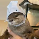 towerscary