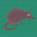 thatchrattington