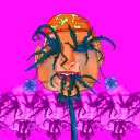 calathea7613