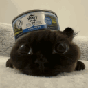 neximalthe