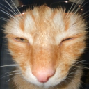 avatar Kohlrabi.Kohlrabi