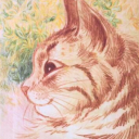 avatar Camille ᨐฅ