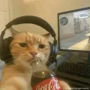 damzhn