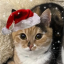 avatar B00gal00ga123